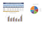 create professional reports, business letters and presentat